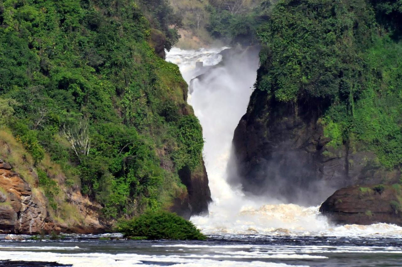 Victoria Lake View Guesthouse & Safaris Entebbe Dış mekan fotoğraf