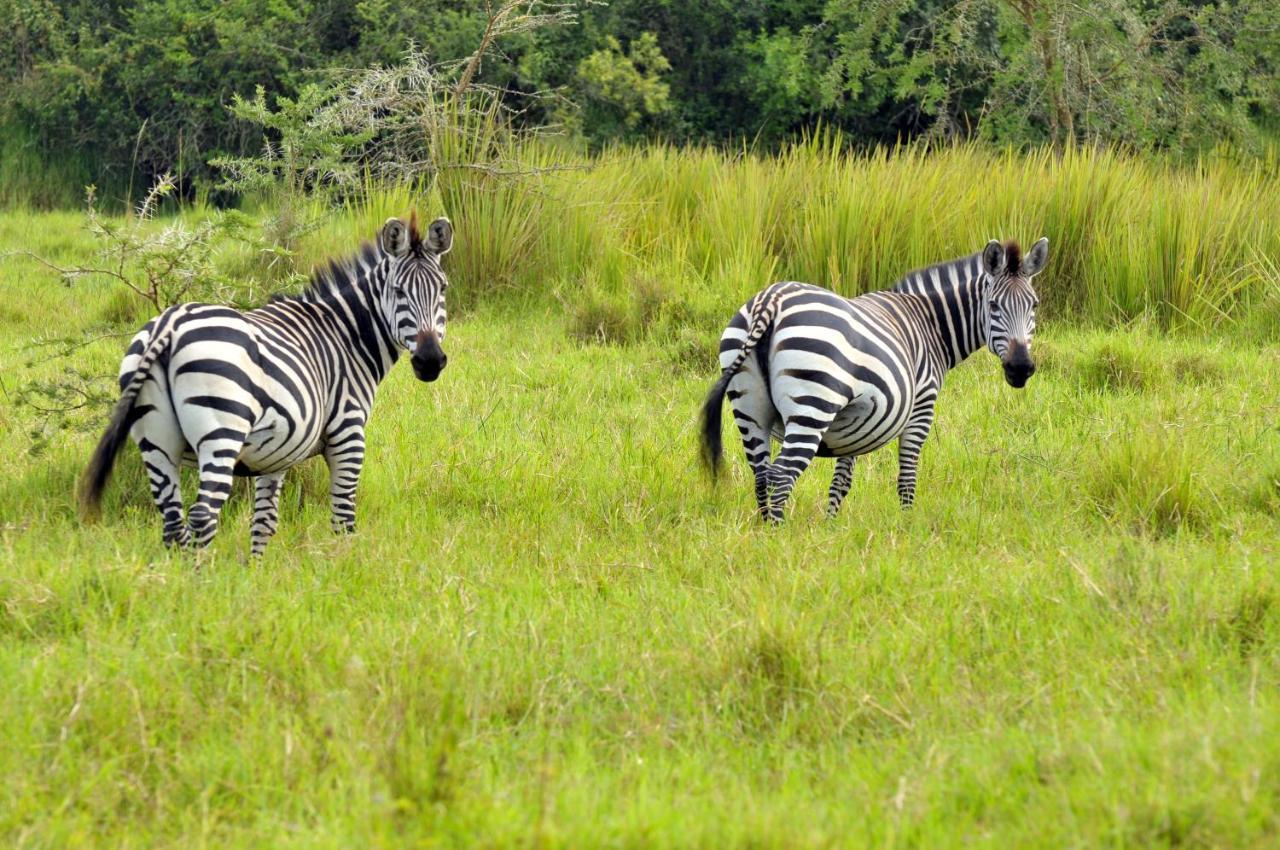 Victoria Lake View Guesthouse & Safaris Entebbe Dış mekan fotoğraf